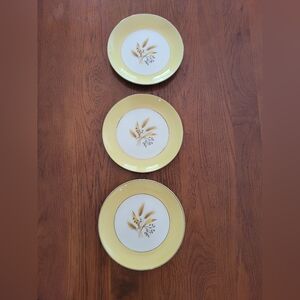 Autumn Gold 7 1/4" Dinner Plate by Century Service